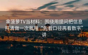 拿菠萝TV当材料：围绕用提问把信息捋清做一次我用“先看口径再看数字”讲